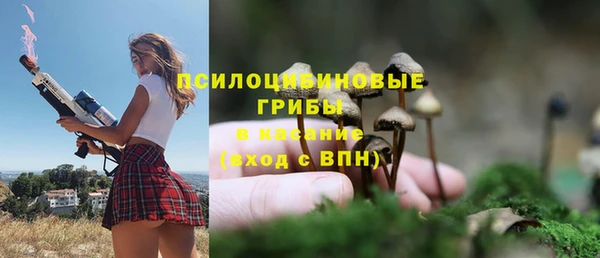 круглые Алзамай