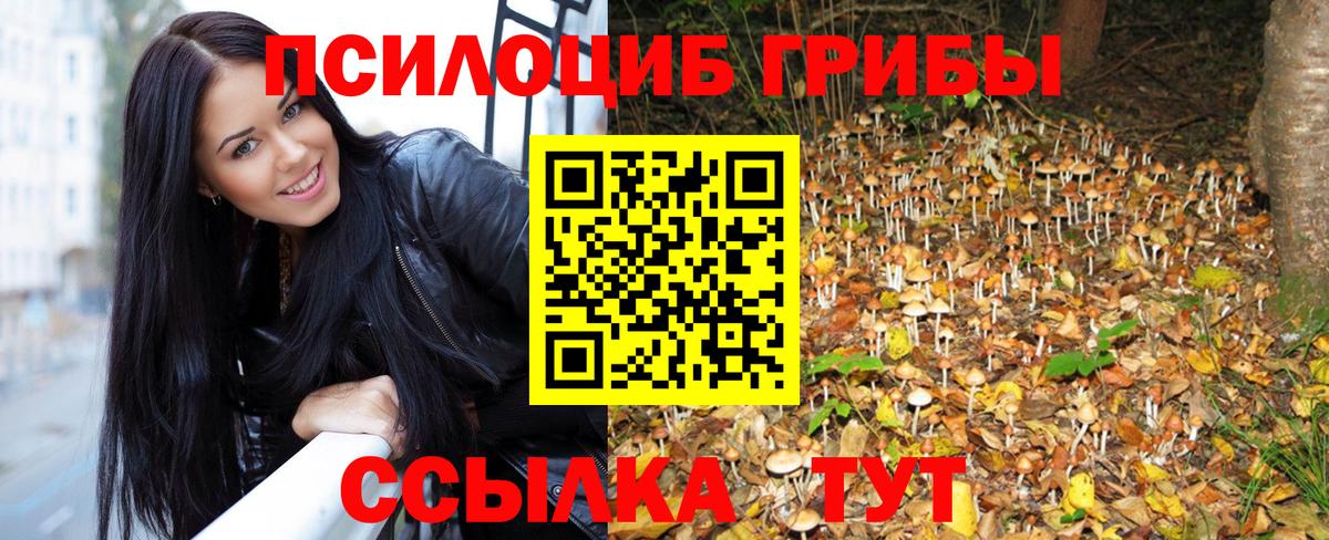 Псилоцибиновые грибы мицелий Ипатово
